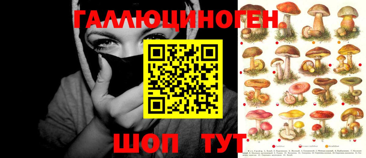 Псилоцибиновые грибы ЛСД Белогорск