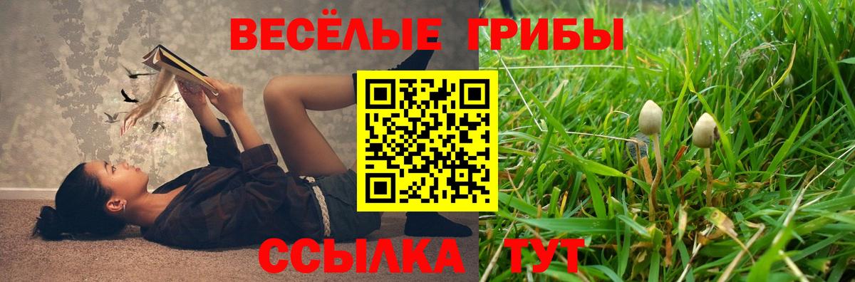 Белогорск  Псилоцибиновые грибы GOLDEN TEACHER  Вход с VPN 